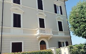 Il Pettirosso
