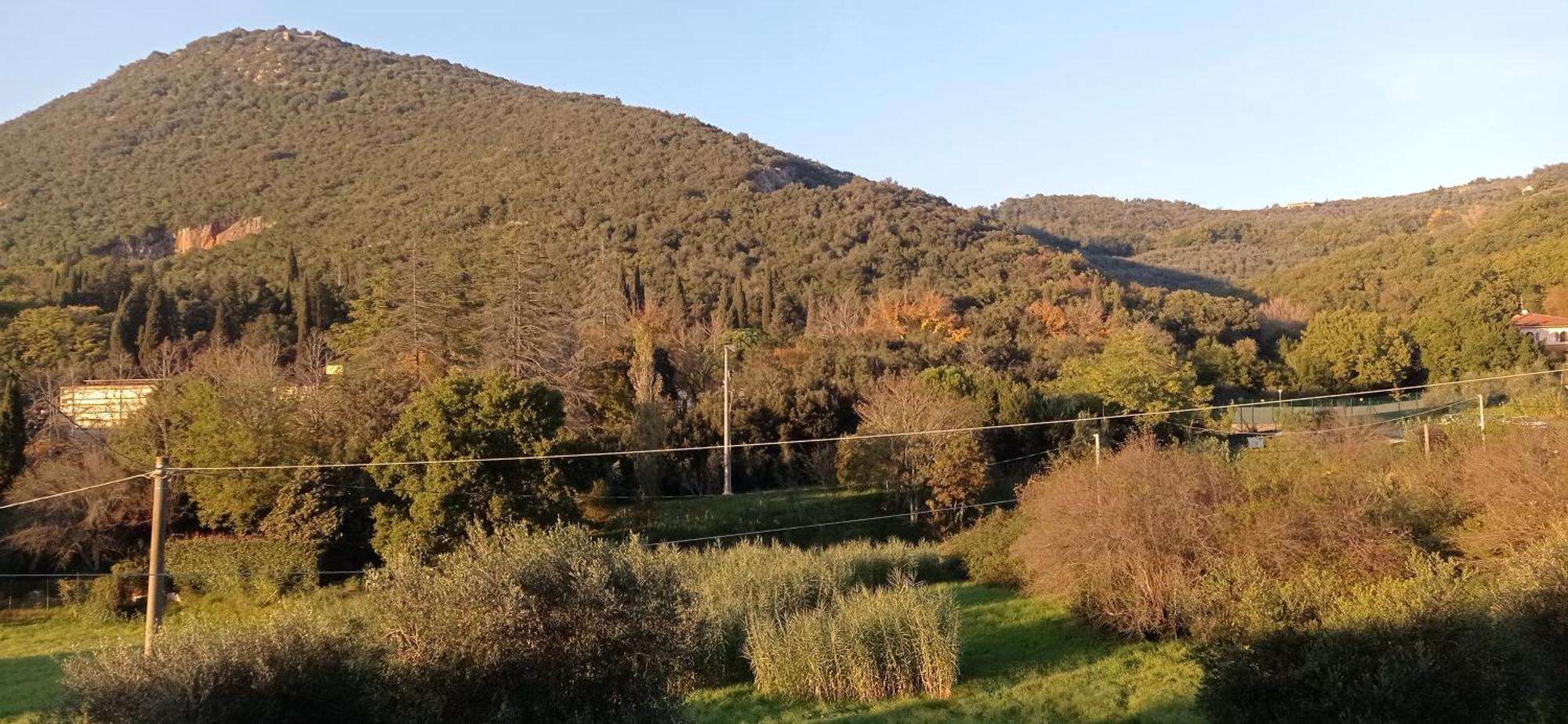 Appartement Il Pettirosso à Monsummano Terme Extérieur photo